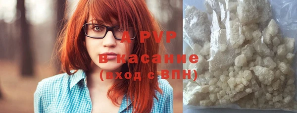 стаф Волоколамск