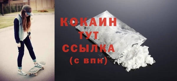 прущие грибы Володарск