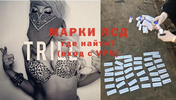 стаф Волоколамск